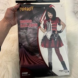 Joker/ Jester Costume 🃏